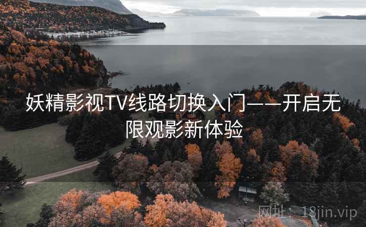 妖精影视TV线路切换入门——开启无限观影新体验
