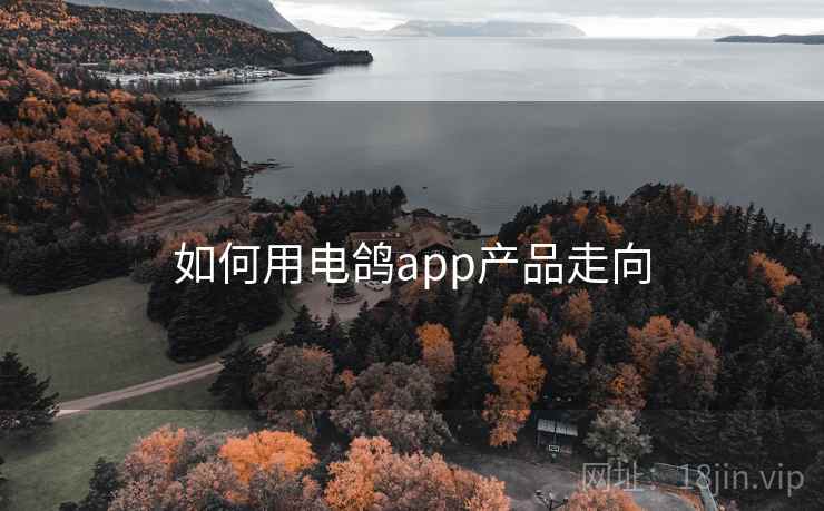 如何用电鸽app产品走向