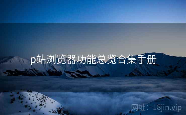 p站浏览器功能总览合集手册