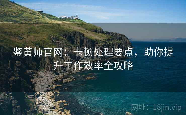 鉴黄师官网：卡顿处理要点，助你提升工作效率全攻略