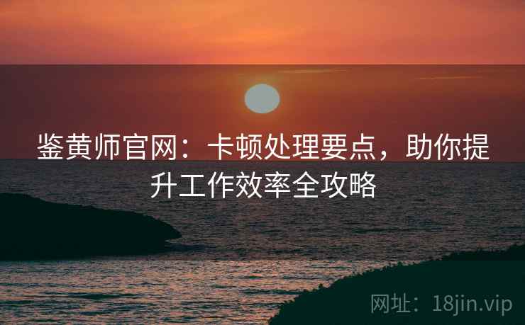 鉴黄师官网：卡顿处理要点，助你提升工作效率全攻略