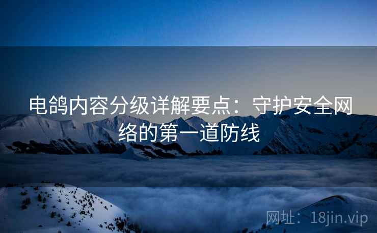 电鸽内容分级详解要点：守护安全网络的第一道防线