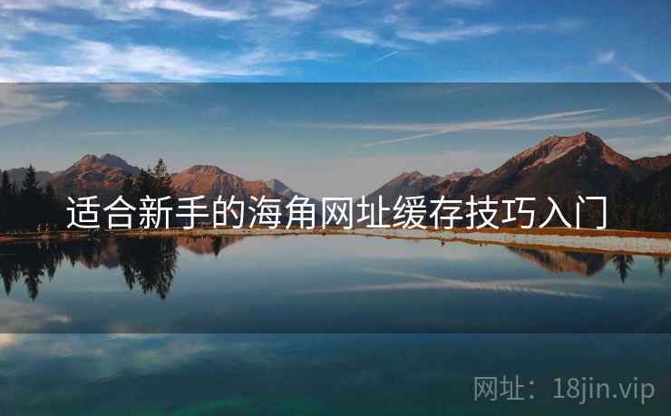 适合新手的海角网址缓存技巧入门