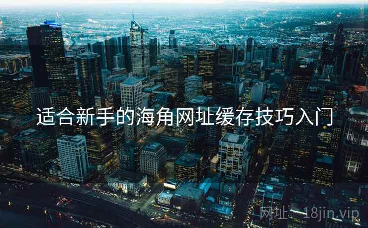 适合新手的海角网址缓存技巧入门