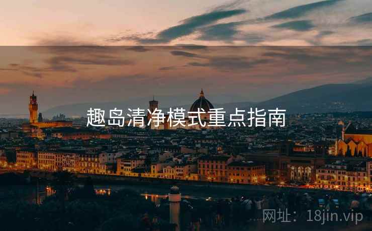 趣岛清净模式重点指南