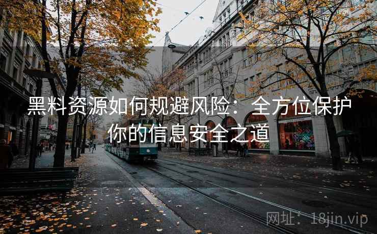 黑料资源如何规避风险：全方位保护你的信息安全之道