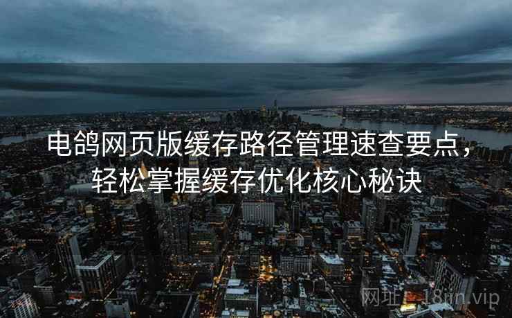 电鸽网页版缓存路径管理速查要点，轻松掌握缓存优化核心秘诀