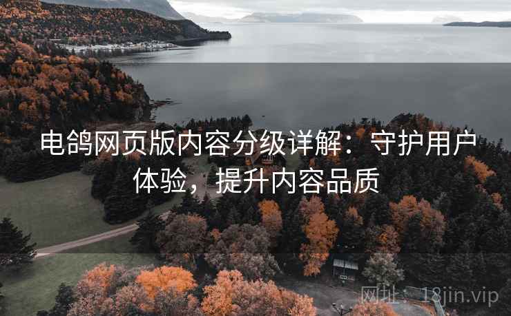 电鸽网页版内容分级详解：守护用户体验，提升内容品质