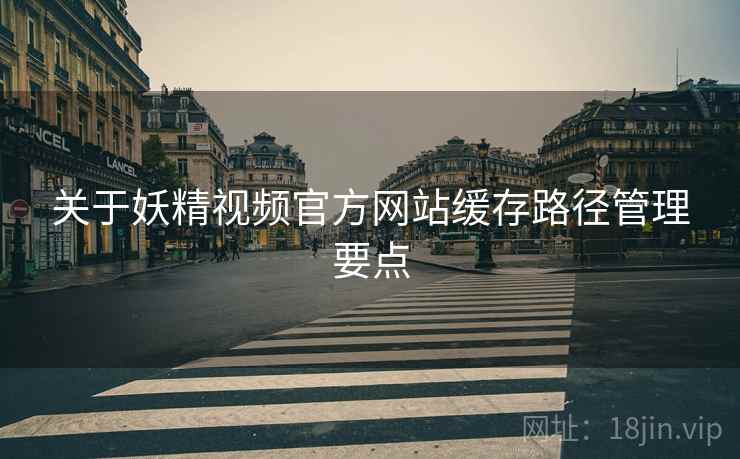关于妖精视频官方网站缓存路径管理要点