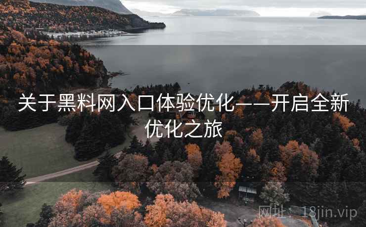 关于黑料网入口体验优化——开启全新优化之旅