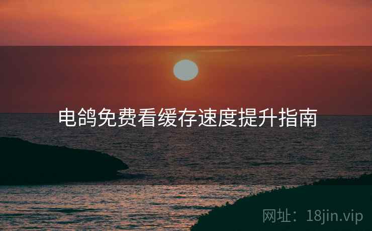 电鸽免费看缓存速度提升指南