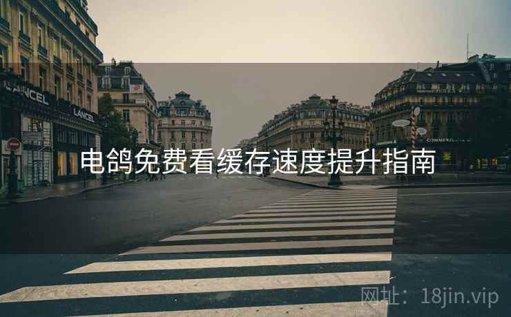 电鸽免费看缓存速度提升指南