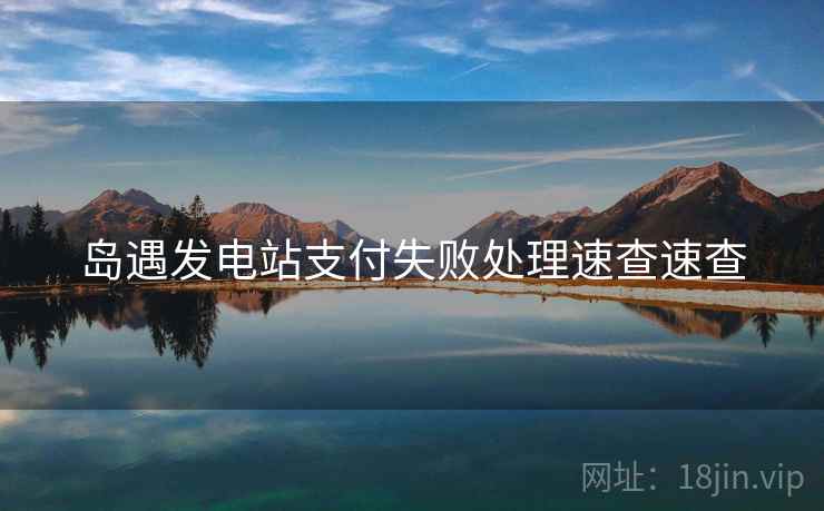 岛遇发电站支付失败处理速查速查