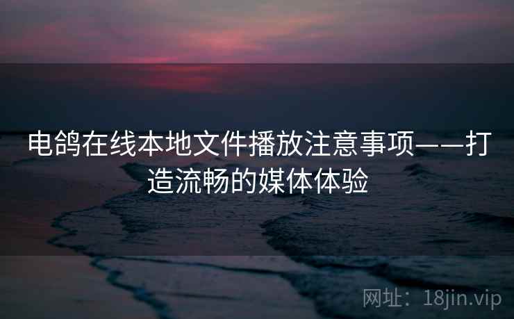 电鸽在线本地文件播放注意事项——打造流畅的媒体体验
