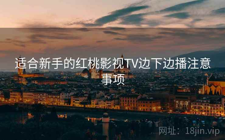 适合新手的红桃影视TV边下边播注意事项
