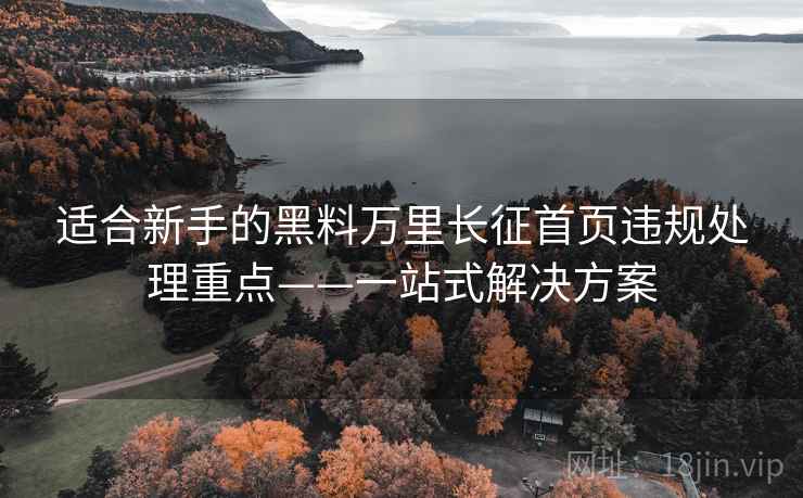 适合新手的黑料万里长征首页违规处理重点——一站式解决方案