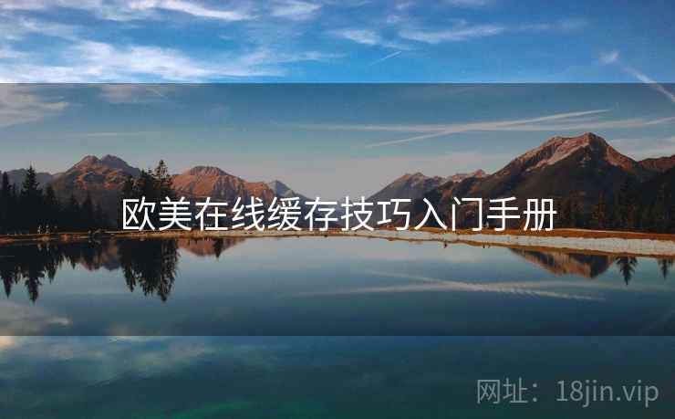 欧美在线缓存技巧入门手册