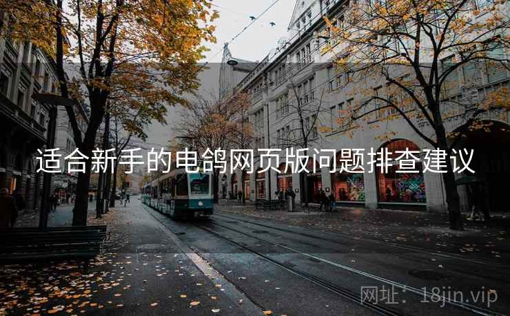 适合新手的电鸽网页版问题排查建议